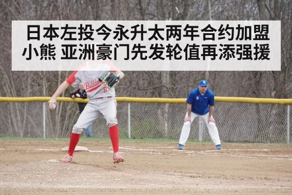 baseball game action